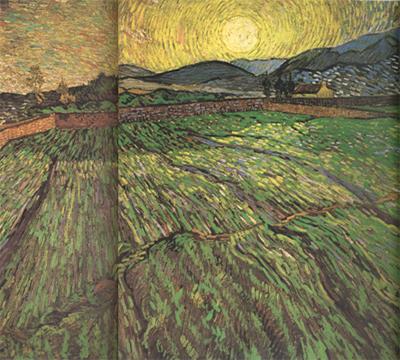 Vincent Van Gogh Enclosed Field with Risihng Sun (nn04)